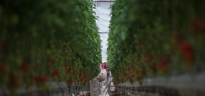 ÜRETİCİYE 'SÜPER' TEŞVİKLER YOLDA