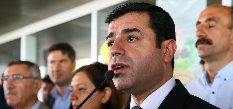 DEMİRTAŞ'TAN YİNE ALÇAK PROVOKASYON
