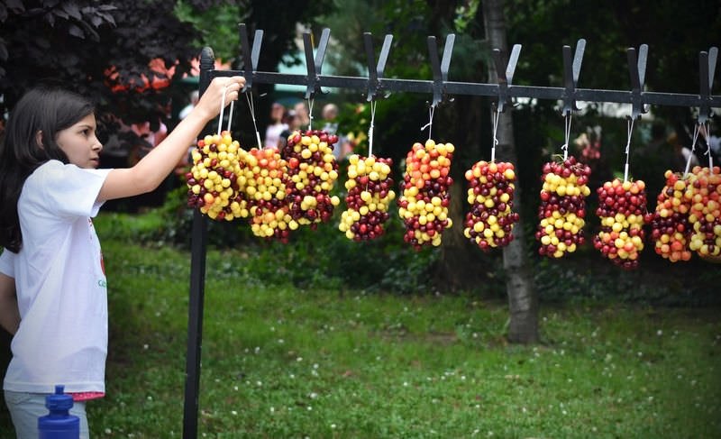 Bulgaristan'da kiraz bayramı