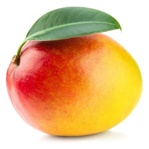 Mango tüm kanser türlerini önler