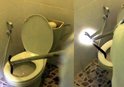 Klozetten yılan çıktı!