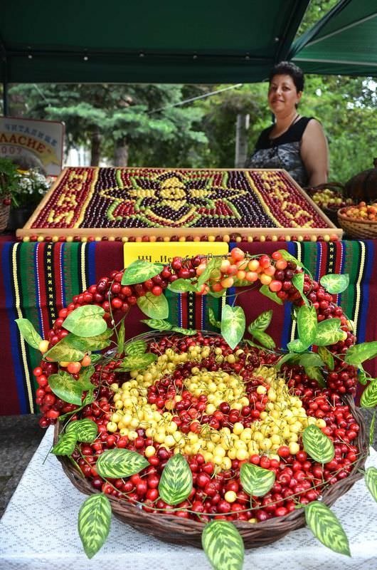 Bulgaristan'da kiraz bayramı