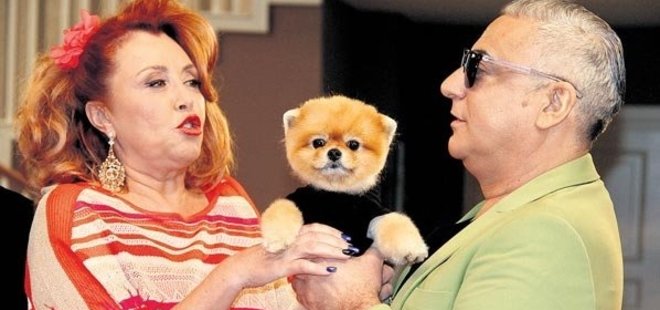 BU KÖPEĞE AYDA 4 BİN TL VERİLİYOR