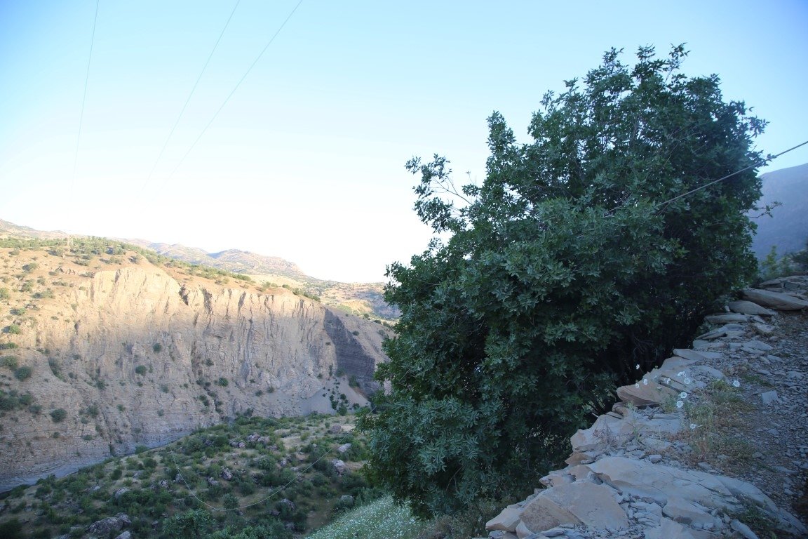 Düşen askeri helikopterin enkazı görüntülendi