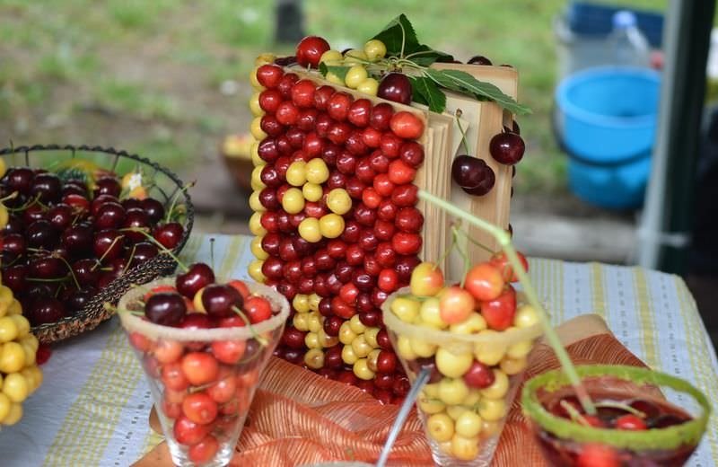 Bulgaristan'da kiraz bayramı