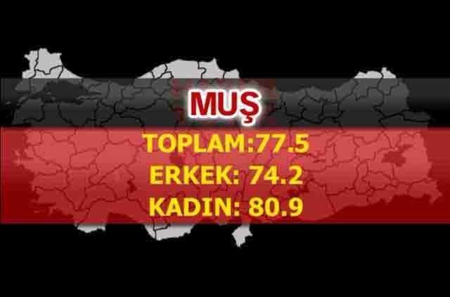 İşte Türkiye'nin en sağlıklı şehirleri