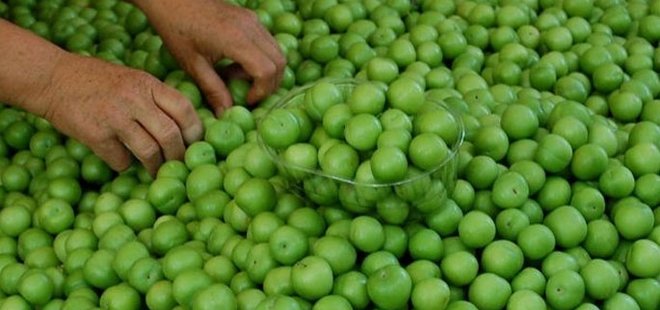 ERİK KİLOSU 75 TL’DEN TEZGAHLARDA YERİNİ ALDI
