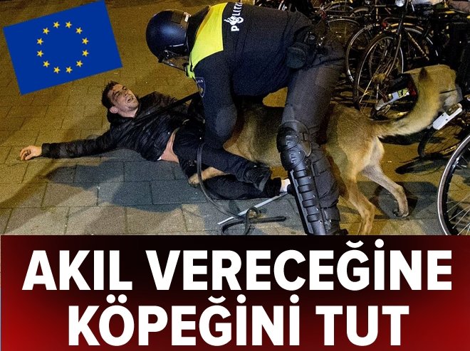 Avrupa Birliği, Hollanda'nın skandalına gözlerine kapadı