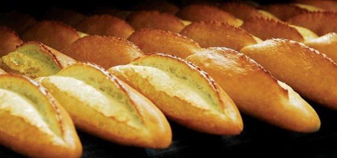 GDO'LU EKMEK ANALİZİNDE SON GÜN