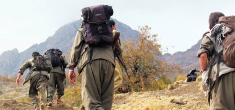 EYLEM HAZIRLIĞINDAKİ 3 PKK'LI YAKALANDI