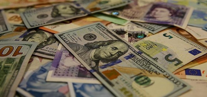 EKONOMİ BAKANLIĞI'NA DÖVİZ İÇİN YENİ YETKİ