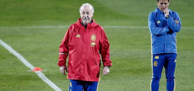 'TÜRKİYE ÇOK İSTEKLİ OLACAK'
