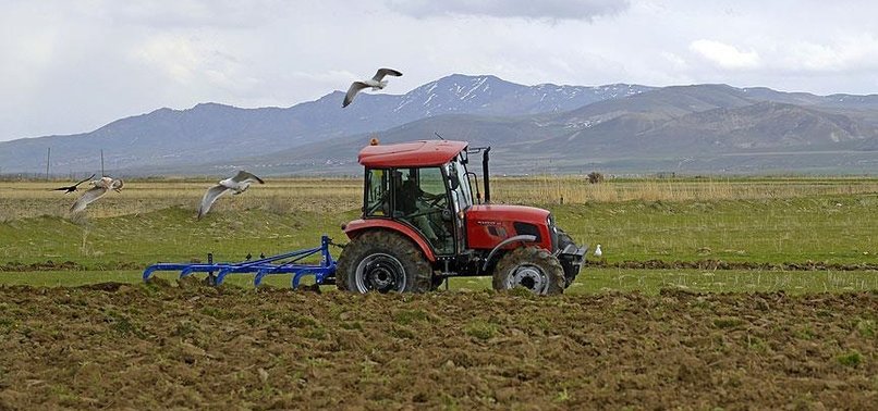 BAKAN ÇELİK BEKLENEN TARİHİ AÇIKLADI