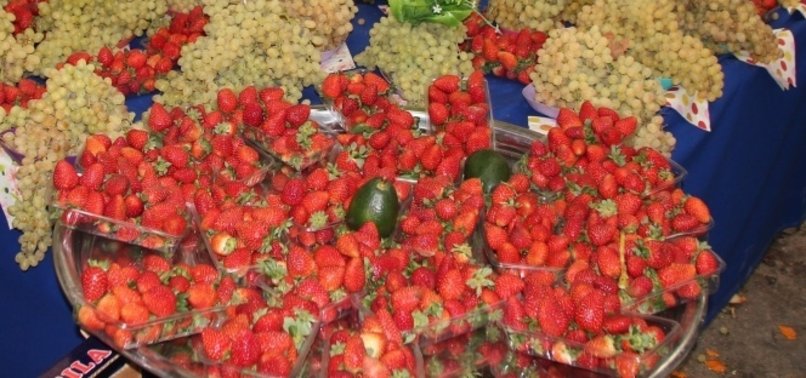 KİLOSU 20 LİRADAN SATILIYOR