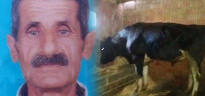 DANA SAHİBİNİ ÖLDÜRDÜ