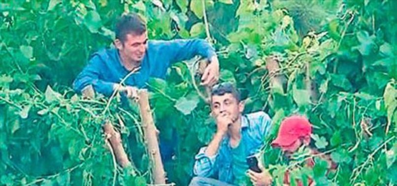 AĞAÇ TEPESİNDEN NİHAT HATİPOĞLU'NU İZLEDİLER