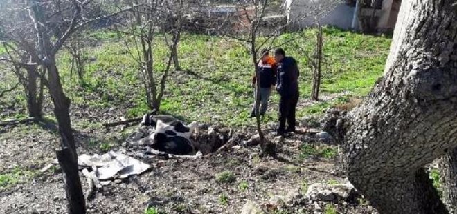 KUYUYA DÜŞEN İNEK TELEF OLDU