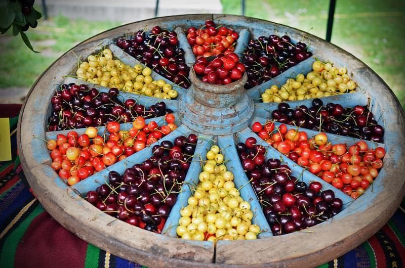 Bulgaristan'da kiraz bayramı