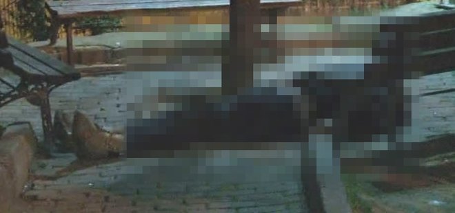 İSTANBUL'DA ÇOCUK PARKINDA BU HALDE BULUNDU!