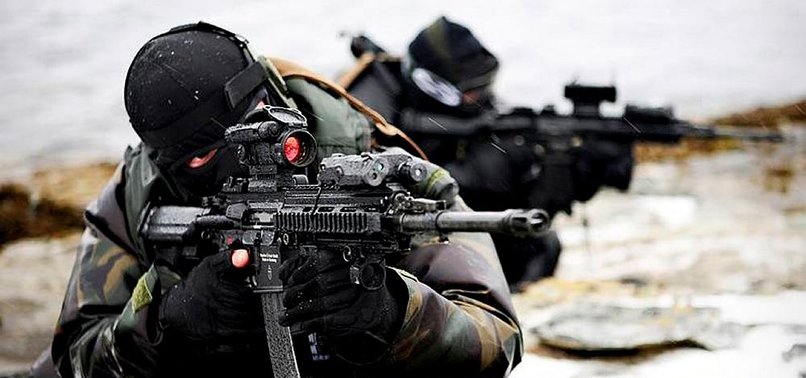 TSK: 46 TERÖRİST ÖLDÜRÜLDÜ