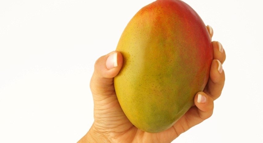 Mango tüm kanser türlerini önler