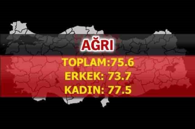 İşte Türkiye'nin en sağlıklı şehirleri