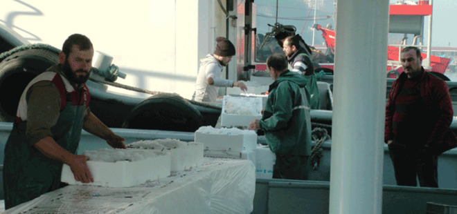 AV YASAĞI BAŞLADI BALIK FİYATLARI ARTTI!