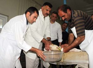 Balık sağımı başladı, hedef 5 milyon balık