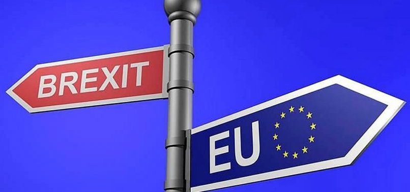 BREXIT'İ MÜSLÜMAN OYU BELİRLEYECEK