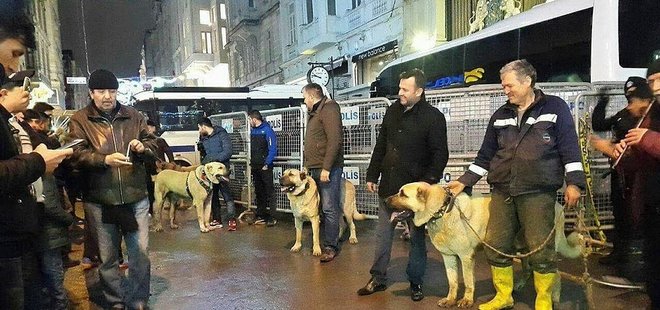 HOLLANDA'YA KANGALLI PROTESTO