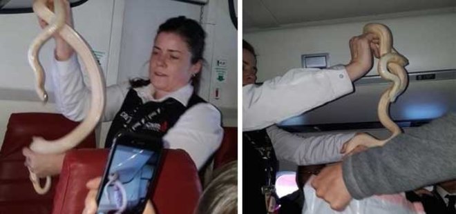 HOSTES, KABİNDE ÖYLE BİR ŞEY YAKALADI Kİ...