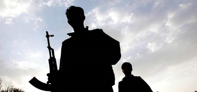 ŞEMDİNLİ'DE YOL KESEN PKK'LILAR KAMYON ŞOFÖRÜNÜ ÖLDÜRDÜ