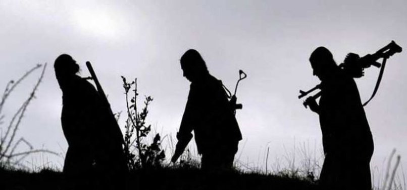 EŞİNE KIZIP, PKK'YA KOŞTU